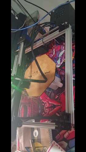 WhatsApp Image 2026-03-12 at 11.29.58